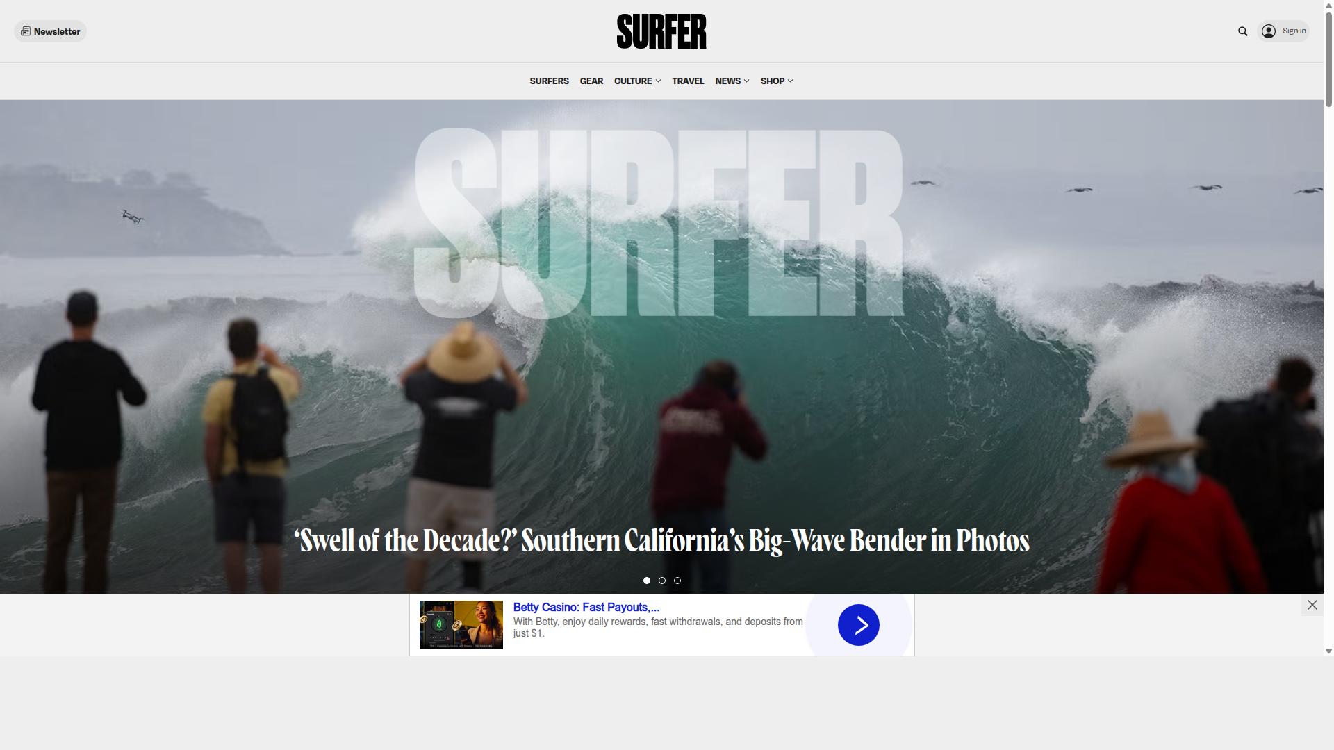Surfer website